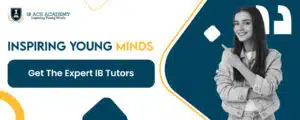 Streamline Your Studies with IBDP Revision Classes